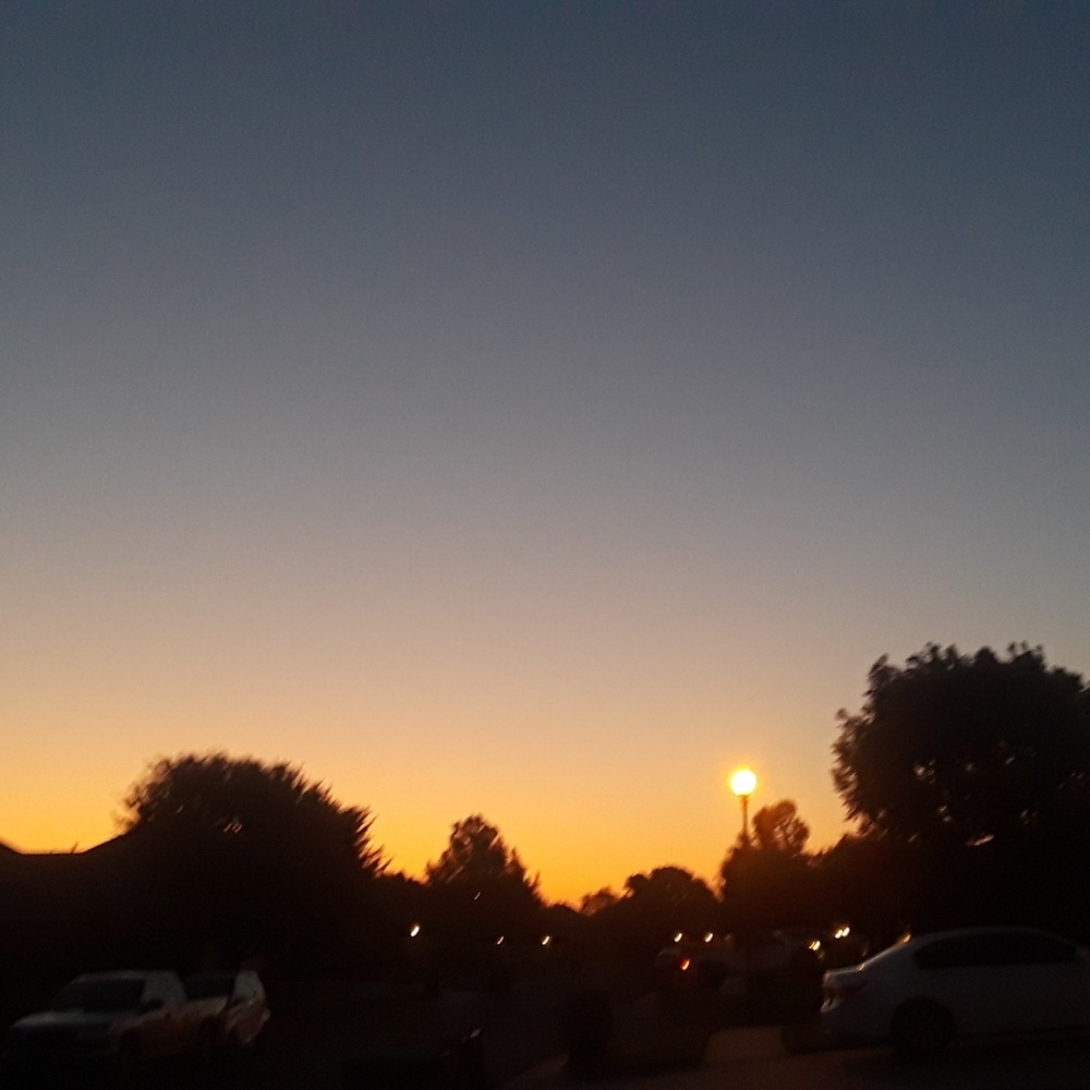 Meet your Posher, Kira